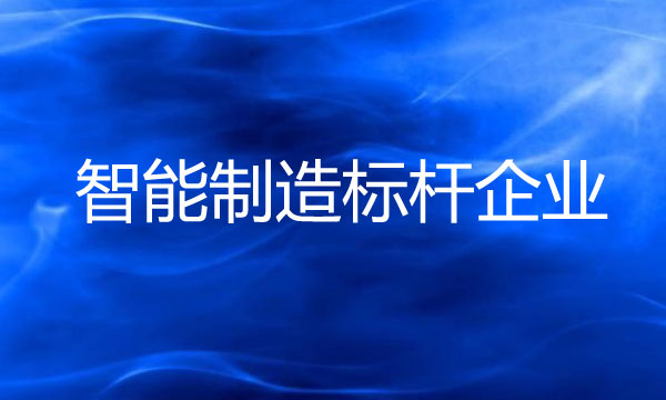 智能制造標(biāo)桿企業(yè)申報(bào)