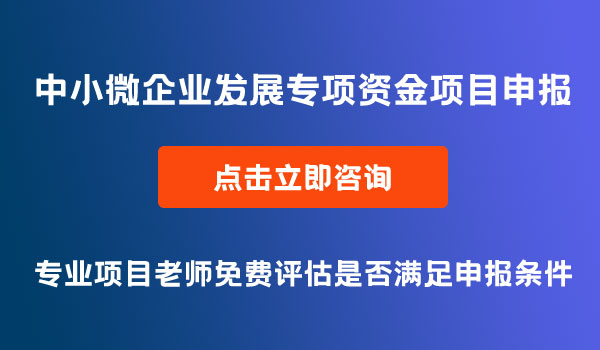 中小微企業(yè)發(fā)展專項(xiàng)資金項(xiàng)目申報(bào)