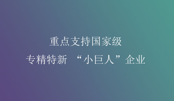 小巨人企業(yè)項(xiàng)目申報(bào)