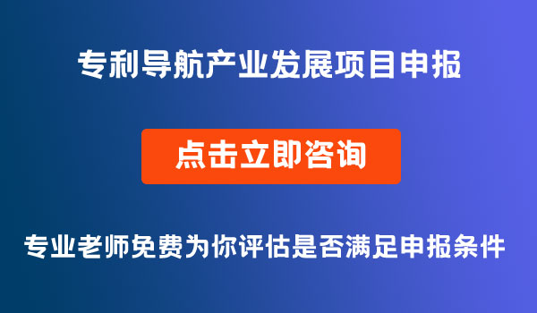 專利導(dǎo)航產(chǎn)業(yè)發(fā)展項目申報