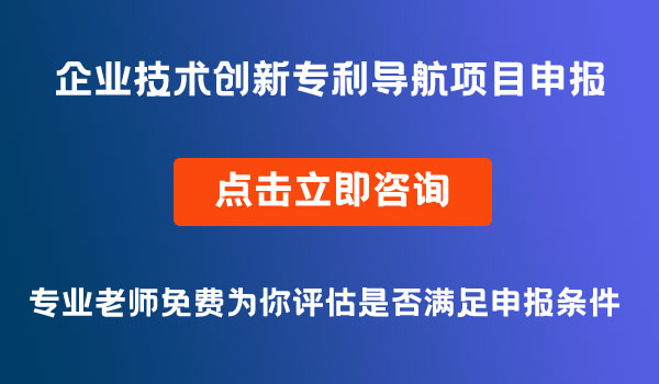 企業(yè)技術(shù)創(chuàng)新專利導(dǎo)航項(xiàng)目申報