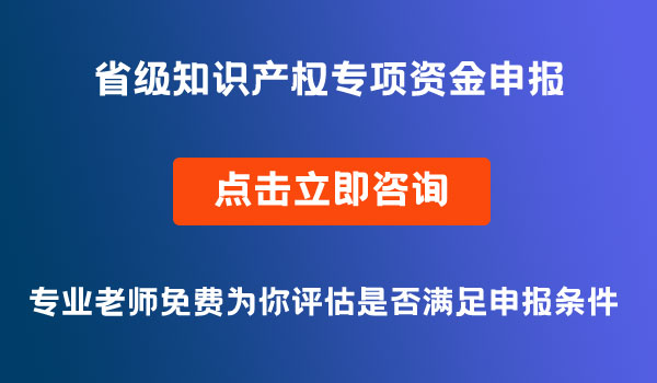 知識產(chǎn)權專項資金項目申報