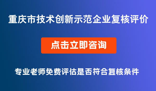 技術(shù)創(chuàng)新示范企業(yè)復(fù)核