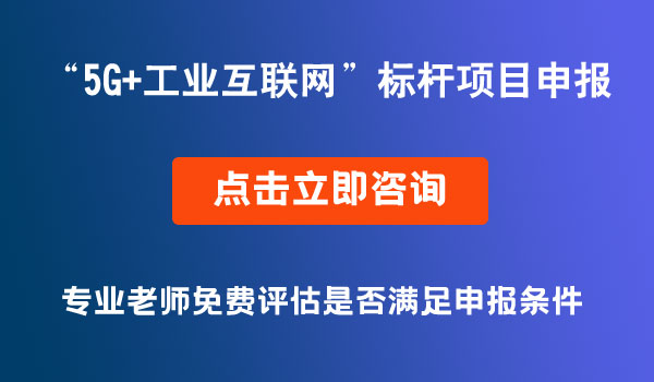 5G+工業(yè)互聯(lián)網(wǎng)標(biāo)桿項目申報