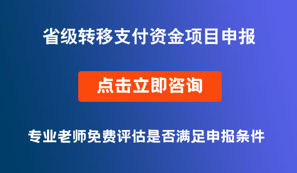 省級轉(zhuǎn)移支付資金項目