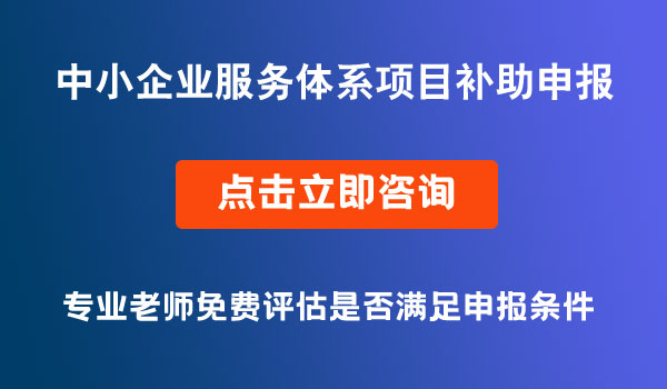 中小企業(yè)服務(wù)體系項(xiàng)目