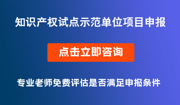 知識產權試點示范