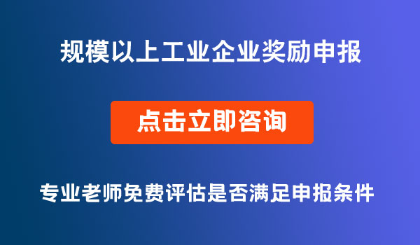 規(guī)模以上工業(yè)企業(yè)獎勵申報