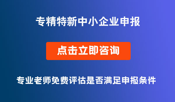 專精特新中小企業(yè)申報(bào)