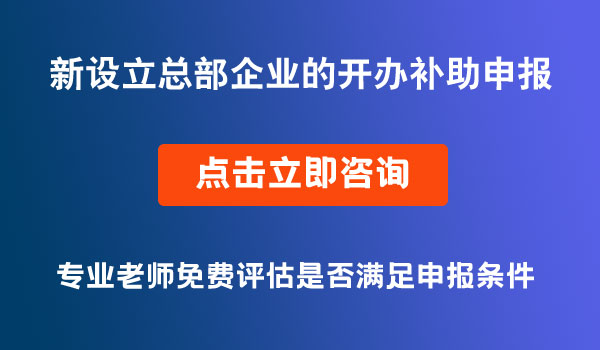 新設(shè)立總部企業(yè)的開辦補(bǔ)助