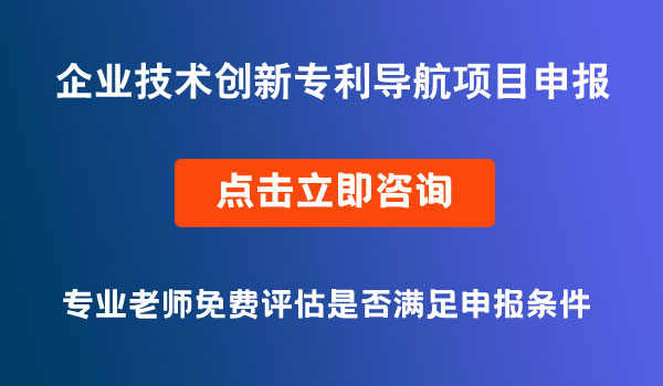 企業(yè)技術(shù)創(chuàng)新專(zhuān)利導(dǎo)航項(xiàng)目申報(bào)