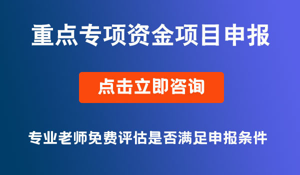 重點專項資金申報項目