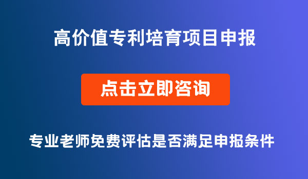 高價(jià)值專利培育項(xiàng)目申報(bào)