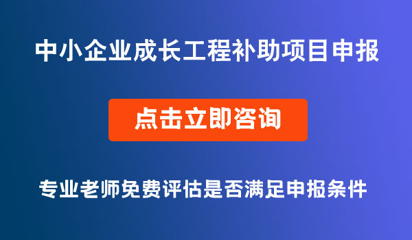 中小企業(yè)成長(zhǎng)工程補(bǔ)助項(xiàng)目申報(bào)