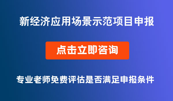 新經(jīng)濟(jì)應(yīng)用場(chǎng)景示范項(xiàng)目、科技計(jì)劃項(xiàng)目