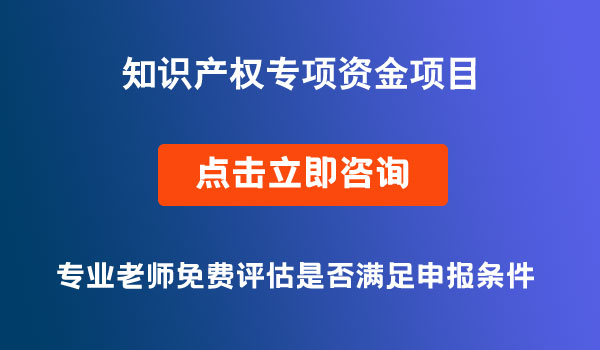 省級知識產(chǎn)權專項資金項目