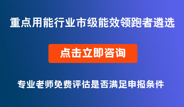 重點用能行業(yè)市級能效領跑者