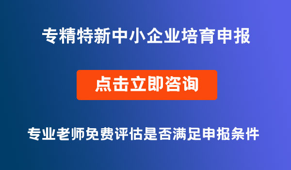 省級(jí)專精特新中小企業(yè)培育申報(bào)