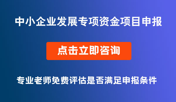 中小企業(yè)發(fā)展專項資金項目申報