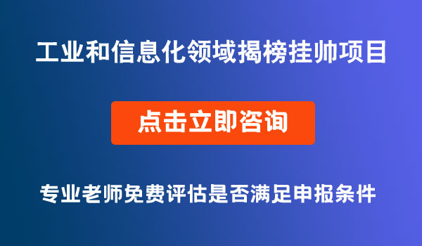 工業(yè)和信息化領(lǐng)域揭榜掛帥項目