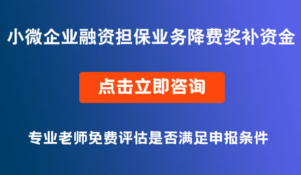 小微企業(yè)融資擔(dān)保業(yè)務(wù)降費(fèi)獎補(bǔ)資金