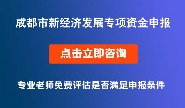 新經(jīng)濟發(fā)展專項資金申報