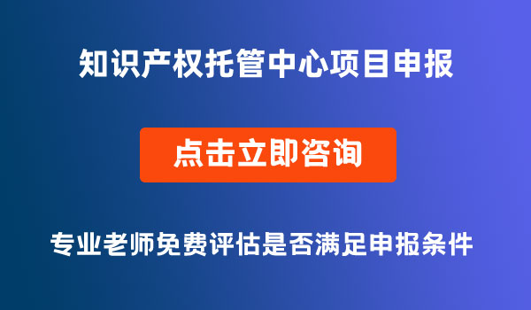 知識產權托管中心項目申報