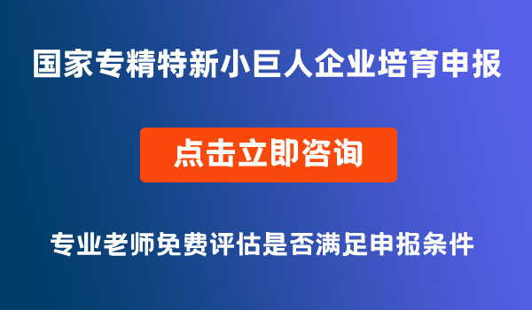 國家專精特新小巨人企業(yè)培育